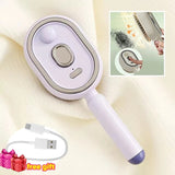 Load image into Gallery viewer, Spray Massage Comb Cat Comb Rechargeable Hair Brush Smooth Shiny Anti-Tangle Essential Oil Misting Hair Brush Reduce Frizz