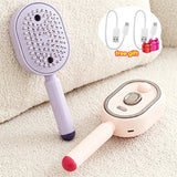 Load image into Gallery viewer, Spray Massage Comb Cat Comb Rechargeable Hair Brush Smooth Shiny Anti-Tangle Essential Oil Misting Hair Brush Reduce Frizz